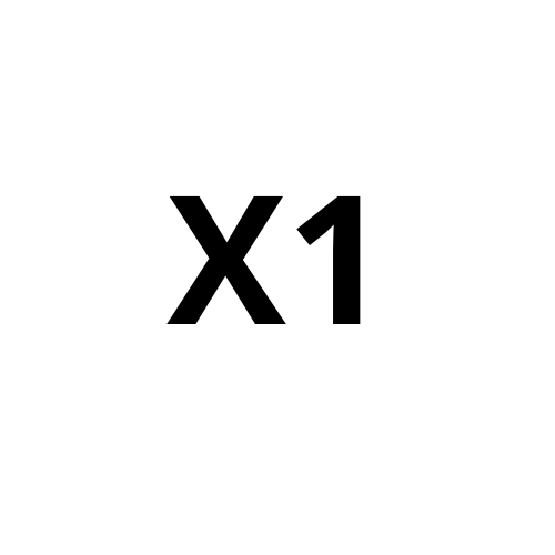 X1